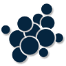 avolution logo