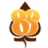 dssmith logo