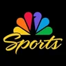 Playﬂy Sports logo