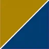 Precision Medicine Group logo
